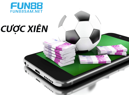Cập nhật kết quả bóng đá tối qua nhanh nhất và chính xác cho người hâm mộ